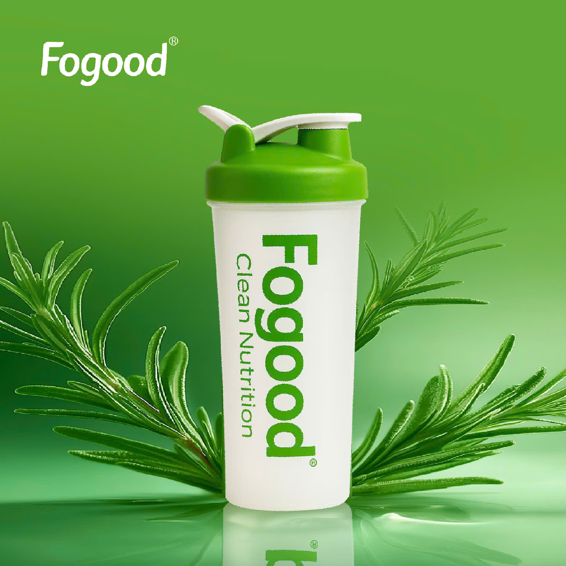 Bình Pha 600ml Fogood | Sạch & An Toàn Cho Lối Sống Lành Mạnh